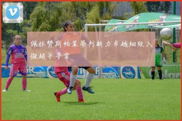 佩林赞斯帕莱蒂判断力卓越细致入微超乎寻常